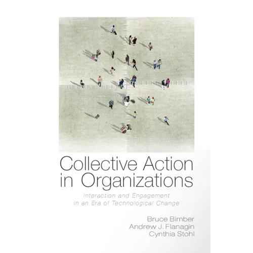 Collective Action in Organizations - Paperback