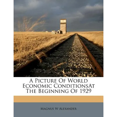 A Picture of World Economic Conditionsat the Beginning of 1929 - Paperback