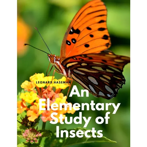 An Elementary Study of Insects - Paperback