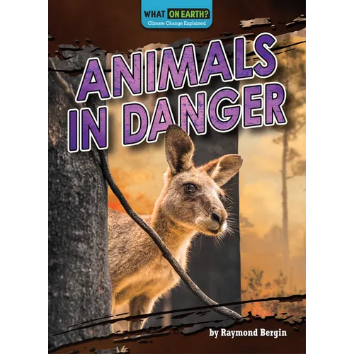 Animals in Danger - Paperback