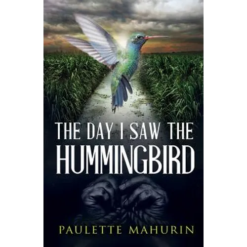 The Day I Saw the Hummingbird - Paperback