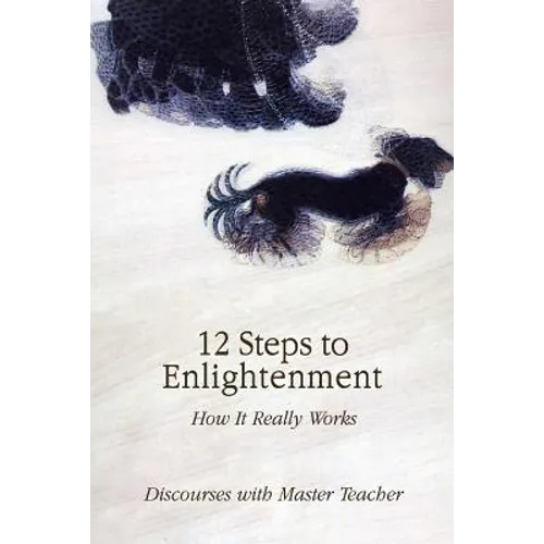 12 Steps to Enlightenment: How It Really Works - Paperback
