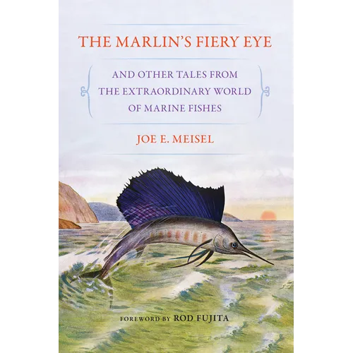 The Marlin's Fiery Eye and Other Tales from the Extraordinary World of Marine Fishes - Paperback