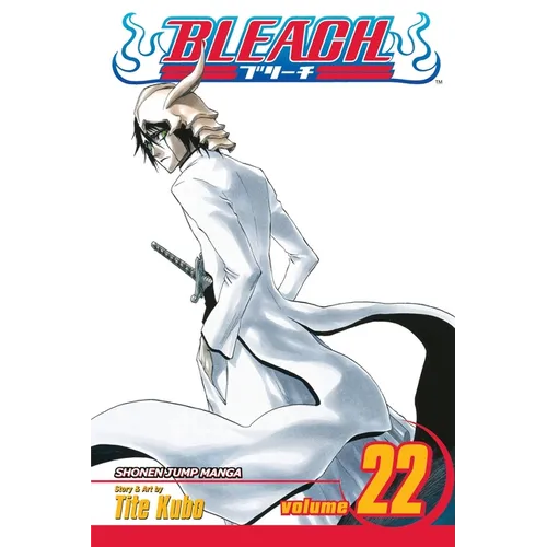 Bleach, Vol. 22: Conquistadores - Paperback