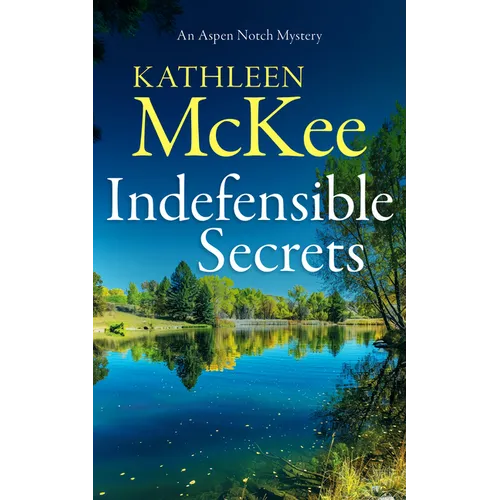 Indefensible Secrets - Paperback