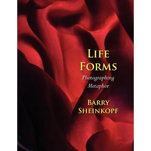 Life Forms: Photographing Metaphor - Paperback