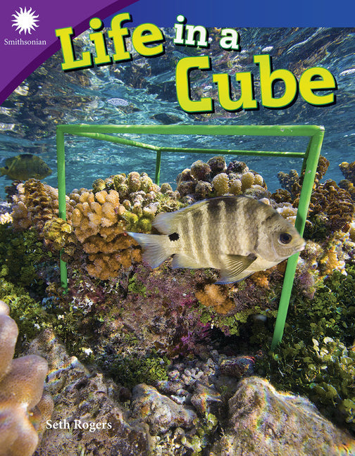 Life in a Cube - Paperback