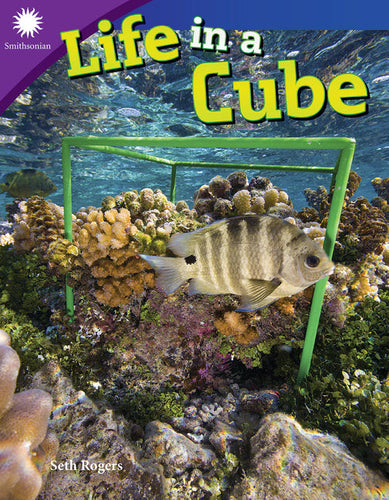 Life in a Cube - Paperback