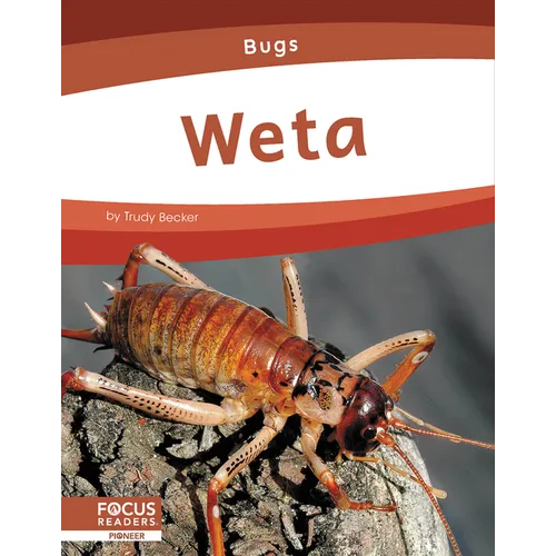 Weta - Paperback