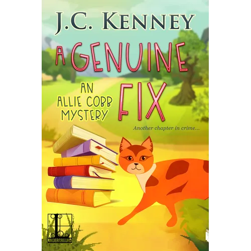 A Genuine Fix - Paperback
