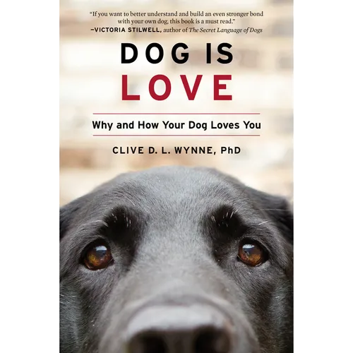 Dog Is Love: Why and How Your Dog Loves You - Paperback
