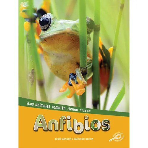 Anfibios: Amphibians - Paperback