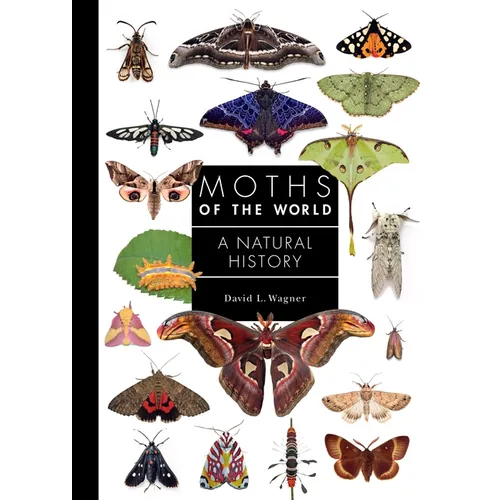 Moths of the World: A Natural History - Hardcover