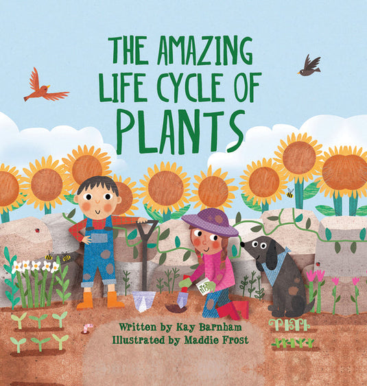 The Amazing Life Cycle of Plants - Hardcover
