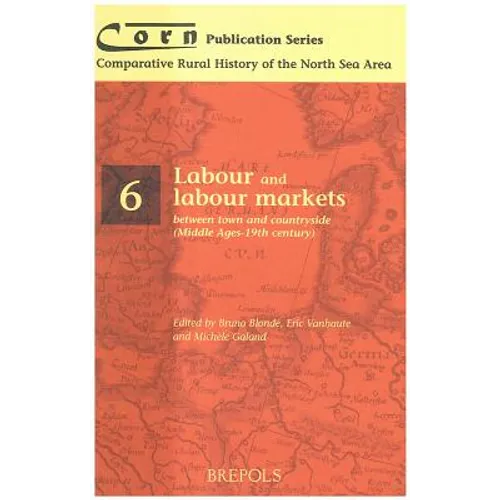 Labour and Labour Markets Between Town and Countryside (Middle Ages - 19th Century) - Paperback