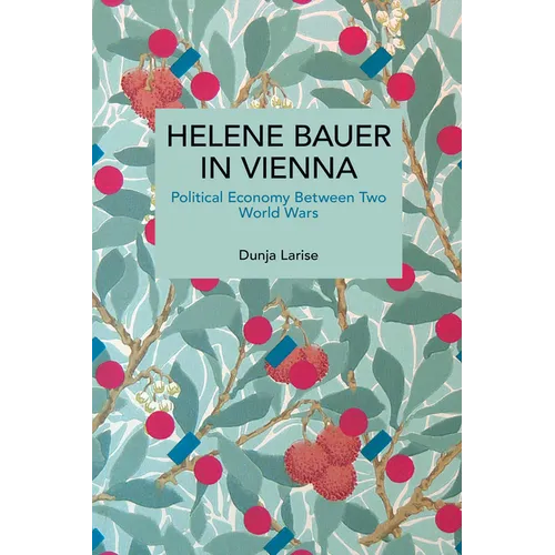 Helene Bauer in Vienna: Political Economy Between Two World Wars - Paperback