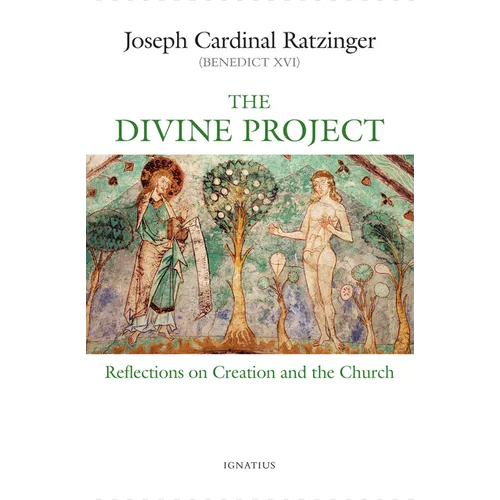 The Divine Project: Reflections on Creation and the Church - Paperback
