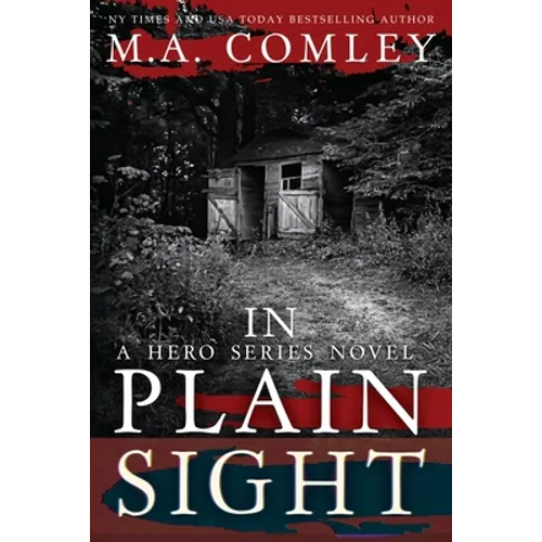 In Plain Sight - Paperback