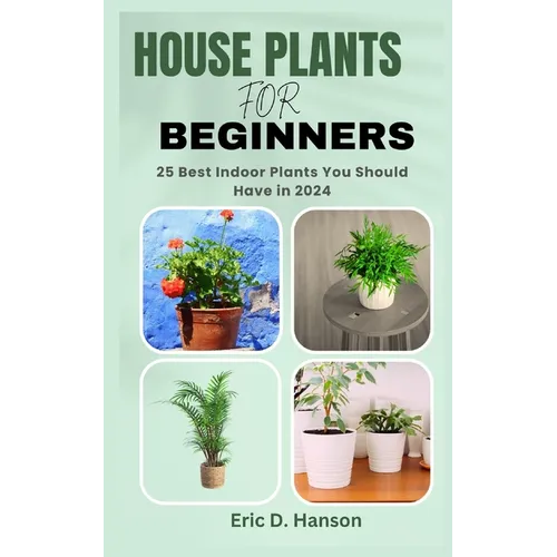 House Plants for Beginners: 25 Best Indoor Plants You Should Have in 2024