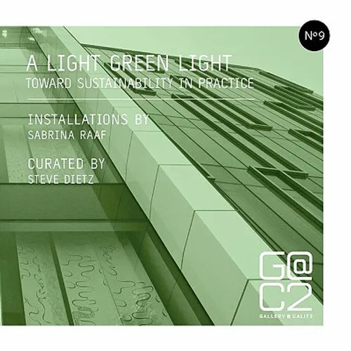 A Light Green Light: Toward Sustainability in Practice - Paperback