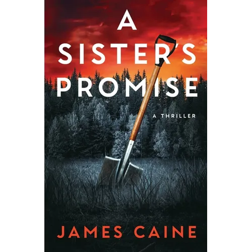 A Sister's Promise: A Thriller - Paperback