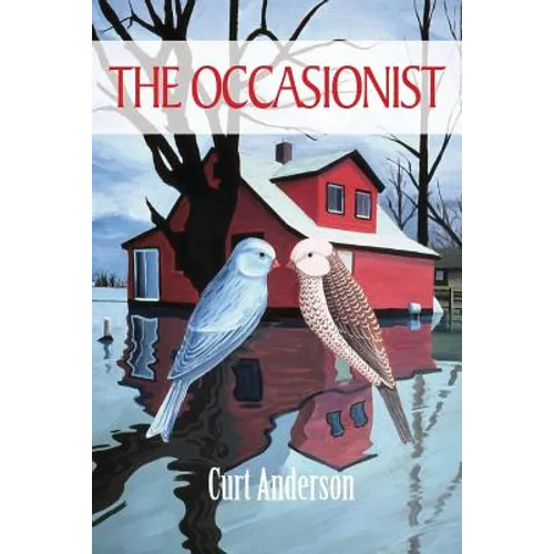 The Occasionist - Paperback