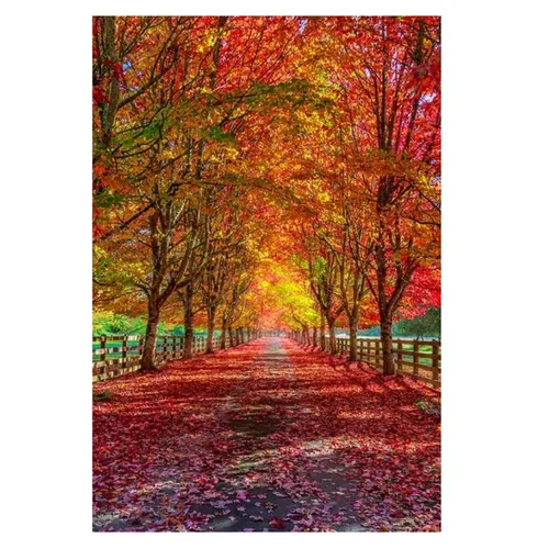 Harmony In Transition - Paperback