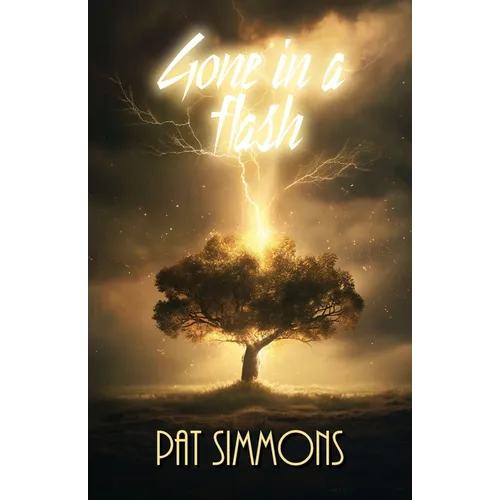 Gone in a Flash - Paperback