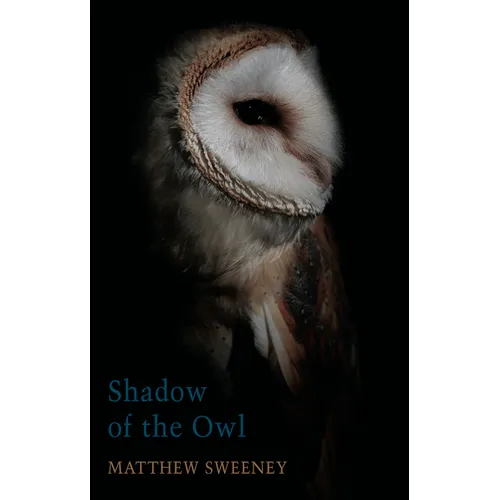 Shadow of the Owl - Paperback