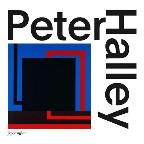 Peter Halley: Paintings of the 1980s: The Catalogue Raisonné - Hardcover
