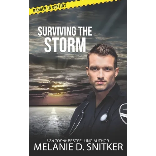 Surviving the Storm: Christian Romantic Suspense - Paperback