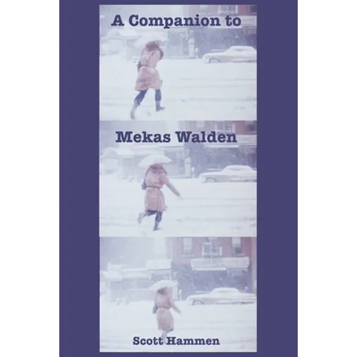 A Companion to Mekas Walden: A Guide to Jonas Mekas's Diaries, Notes and Sketches - Paperback