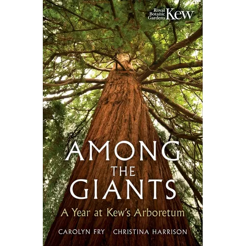 Among the Giants: Life in the Trees at Kew - Hardcover