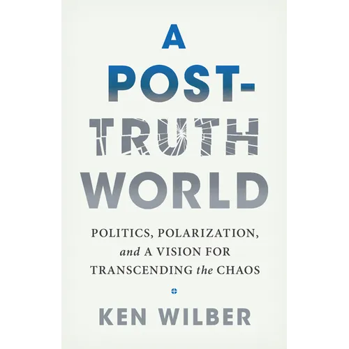 A Post-Truth World: Politics, Polarization, and a Vision for Transcending the Chaos - Paperback