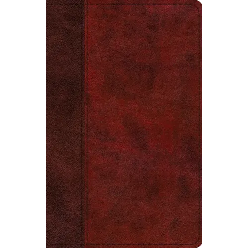 ESV Large Print Thinline Bible (Trutone, Burgundy/Red, Timeless Design) - Imitation Leather