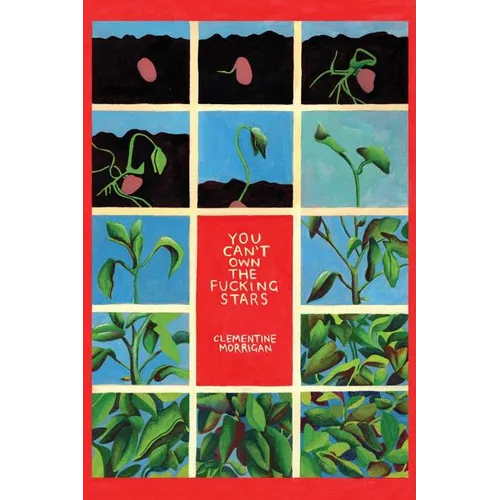 You Can't Own the Fucking Stars: Collected Writings on Trauma, Addiction, Recovery, and Transformation - Paperback