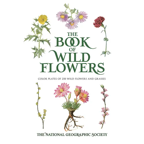The Book of Wild Flowers: Color Plates of 250 Wild Flowers and Grasses - Paperback