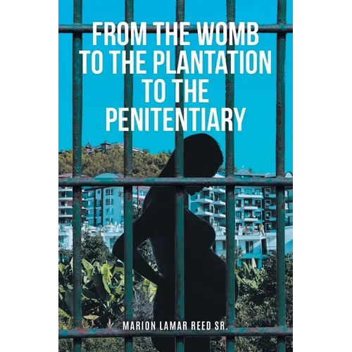 From the Womb to the Plantation to the Penitentiary - Paperback