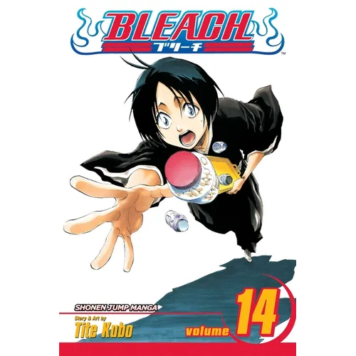 Bleach, Vol. 14: White Tower Rocks - Paperback