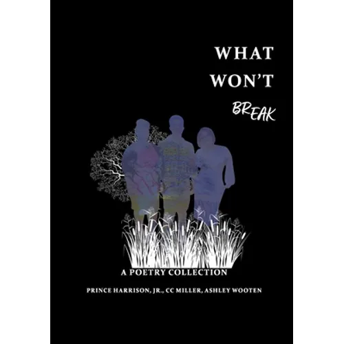 What Won't BREAK - Paperback