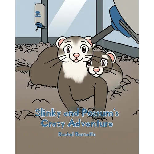 Slinky and Possum's Crazy Adventure - Paperback