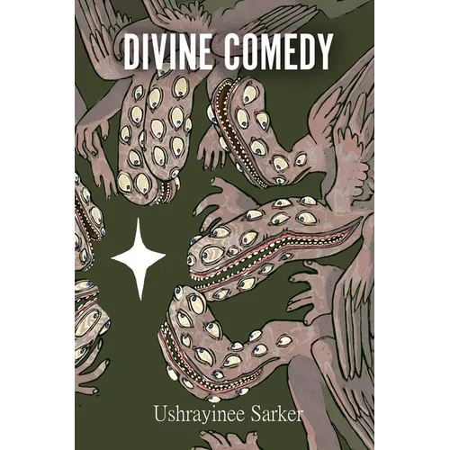 Divine Comedy - Paperback