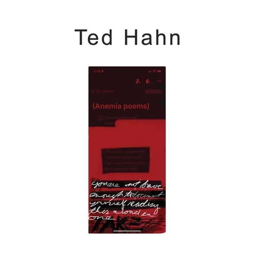 (anemia poems) - Hardcover