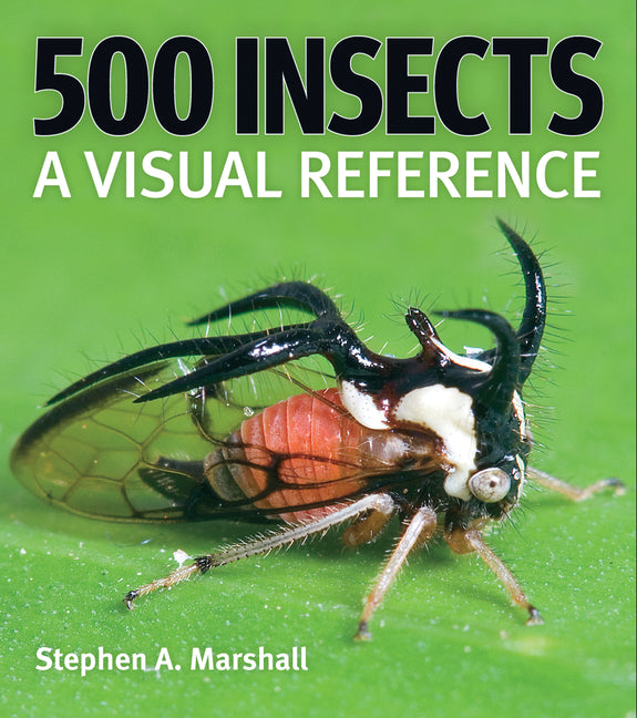 500 Insects: A Visual Reference - Paperback