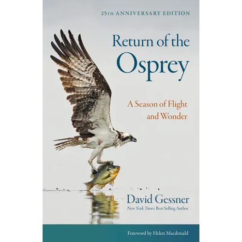 Return of the Osprey: A Season of Flight and Wonder - Paperback