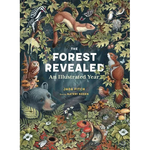 The Forest Revealed: An Illustrated Year - Hardcover