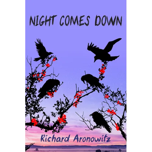 Night Comes Down - Paperback