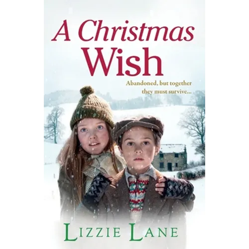 A Christmas Wish - Paperback