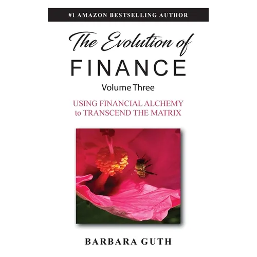 The Evolution of Finance: Using Financial Alchemy to Transcend the Matrix - Paperback