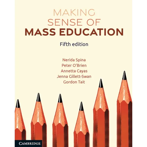 Making Sense of Mass Education - Paperback